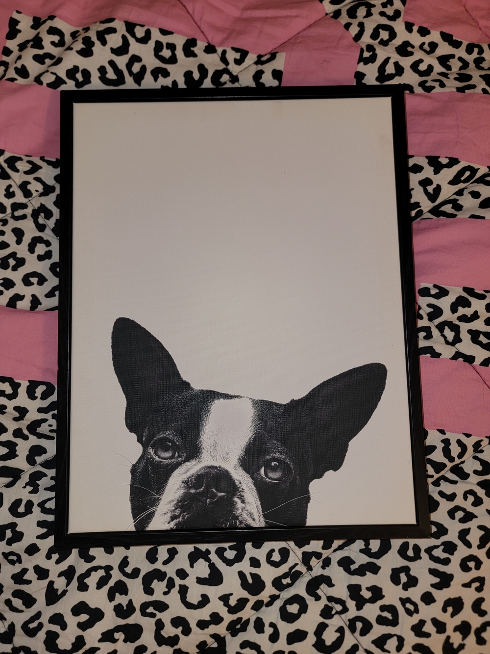 "Loyalty" Boston Terrier Canvas Art 11" X 14"